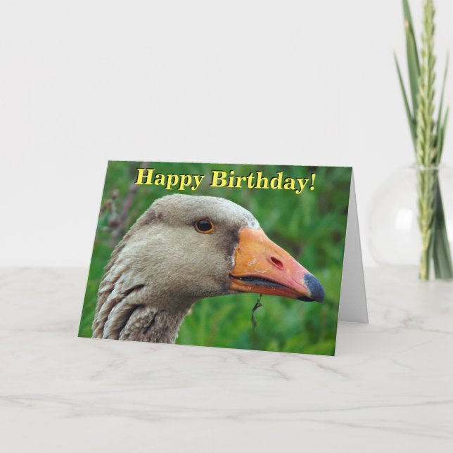 Greylag goose customisable greetings card (Front)
