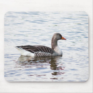 Greylag Goose Mouse Pad