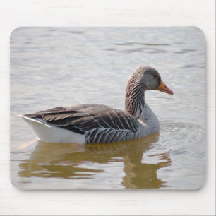 Greylag Goose Mouse Pad