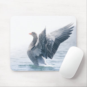 Greylag goose nature photo mouse pad