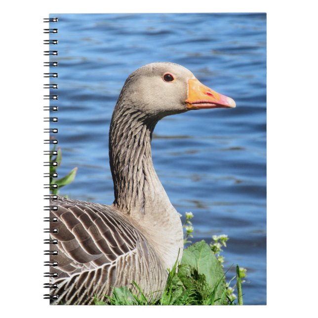 Greylag Goose Spiral Notebook (Front)