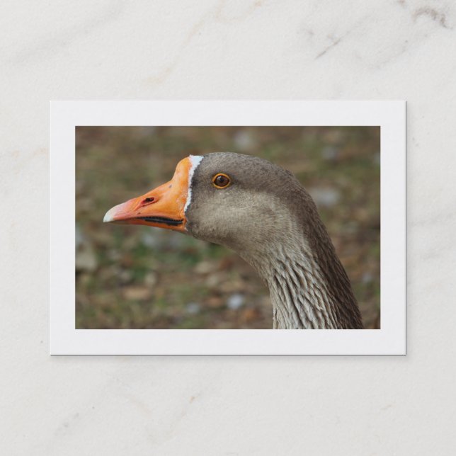Greylag Swan Goose Cross (Bordered) Business Card (Front)