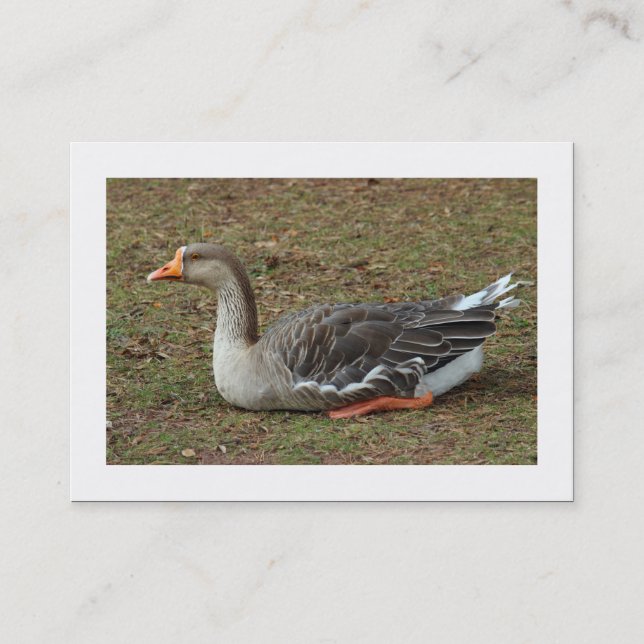 Greylag Swan Goose Cross (Bordered) Business Card (Front)