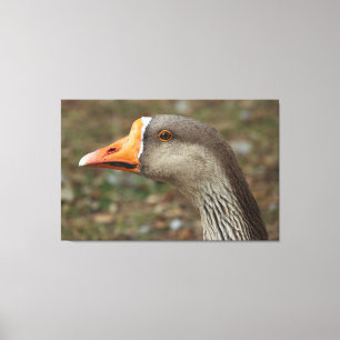 Greylag Swan Goose Cross Canvas Print