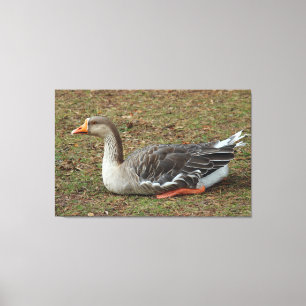 Greylag Swan Goose Cross Canvas Print