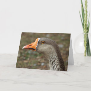 Greylag Swan Goose Cross Card