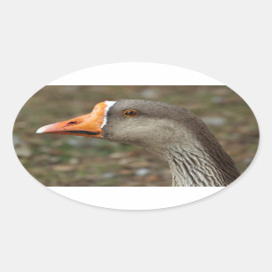Greylag Swan Goose Cross Oval Sticker