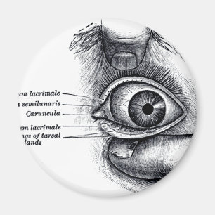 Grey's Anatomy — eyeball Magnet