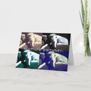 Greyt birthday card