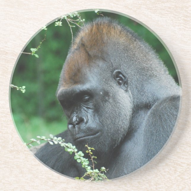 Grim Gorilla Coaster (Front)