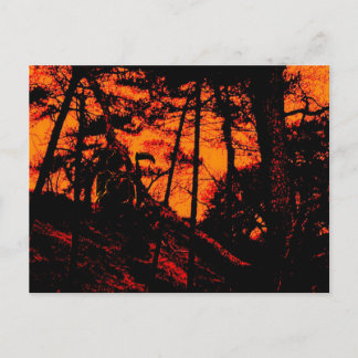 Grim Reaper in Scary Orange Lit Forest Postcard