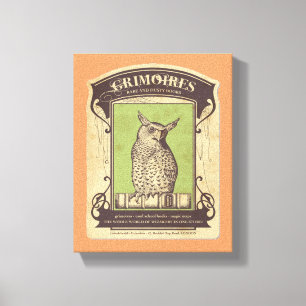 Grimoires Owl Canvas Print