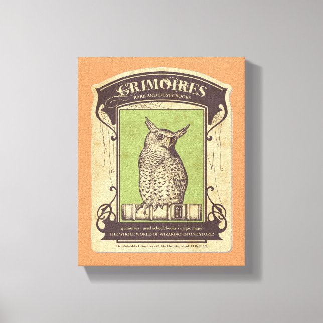 Grimoires Owl Canvas Print (Front)