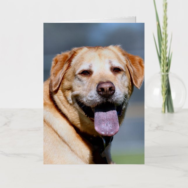 Grin  foil greeting card (Front)