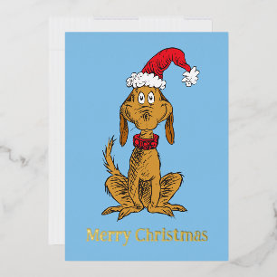 Grinch's Max Santa Claus Hat