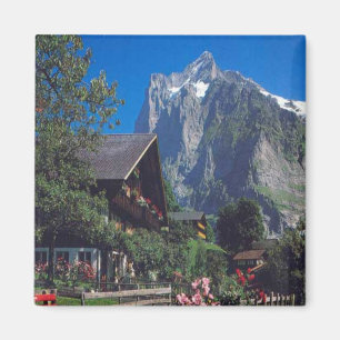 Grindelwald, Jungfrau region Magnet