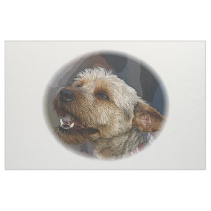 Grinning Border Terrier Cross Fabric