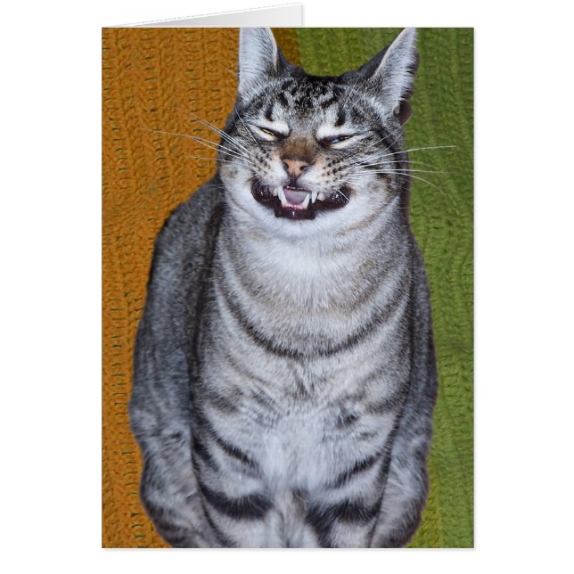 Grinning Cat Card (Front)