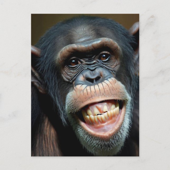 Grinning Chimpanzee Postcard (Front)