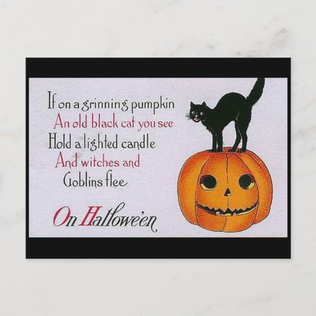 Grinning Pumpkin and Cat Postcard (Front)