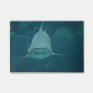 Grinning Shark Post-it Notes