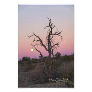 Gripping the Moon Photo Print