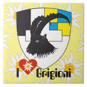 Grischun Grigioni Fliese Tile
