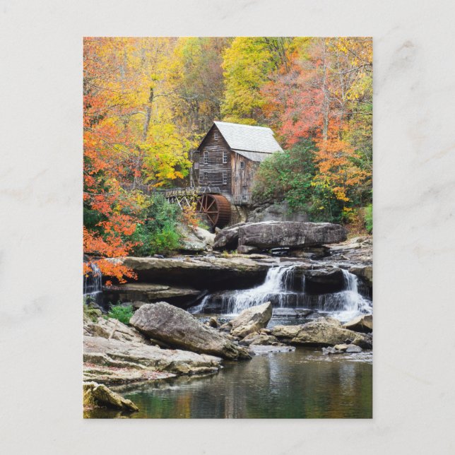 Grist Mill Glade Creek West Virginia Waterfall, Postcard (Front)