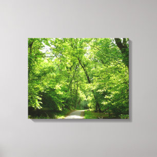 Grist Mill Trail I Canvas Print