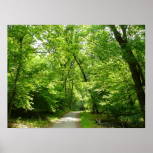 Grist Mill Trail I Patapsco State Park Maryland Poster