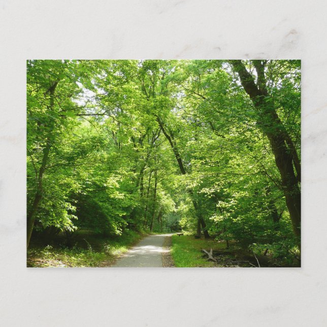 Grist Mill Trail I Postcard (Front)