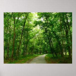 Grist Mill Trail II Patapsco State Park Maryland Poster