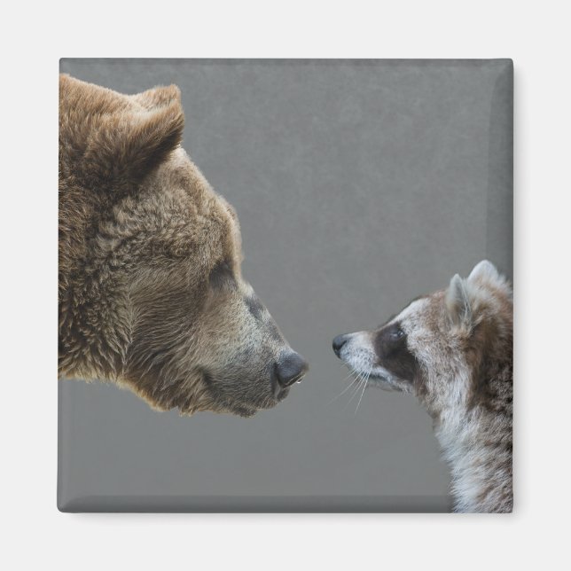 Grizzle Bear Meets Racoon Magnet (Front)