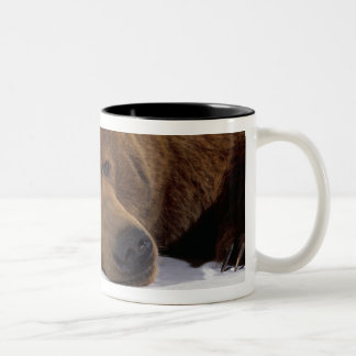 Grizzle Bear Mug