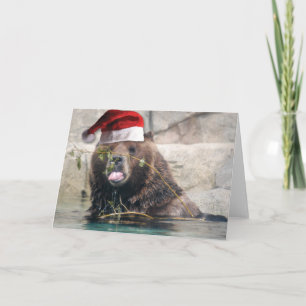 Grizzley Bear in a Santa Hat Holiday Card