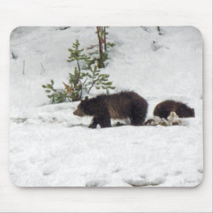 Grizzlies in the Snow Mouse Pad
