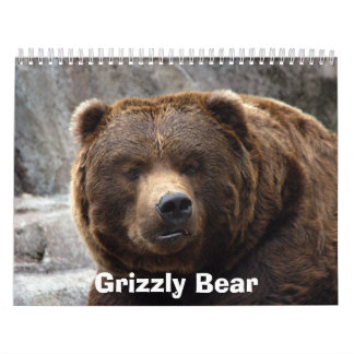 grizzly-bear-017, Grizzly Bear Calendar