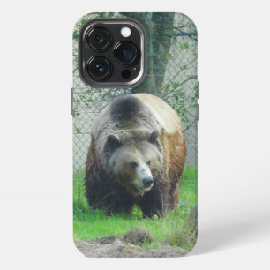 Grizzly Bear #1 iPhone 13 Pro Case