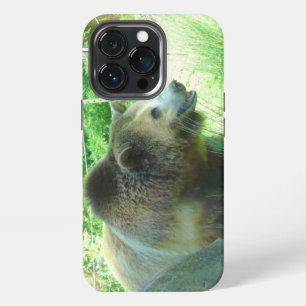 Grizzly Bear #3 iPhone 13 Pro Case