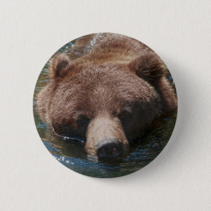 Grizzly Bear 6 Cm Round Badge