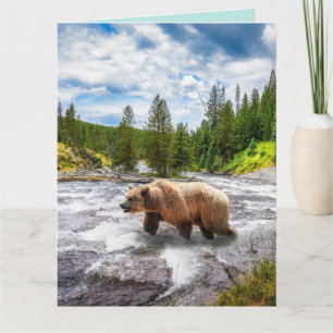 GRIZZLY BEAR ALASKA BIRTHDAY BIG GREETING CARDS