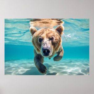 Grizzly Bear Animal Fun Nature Playing  Poster