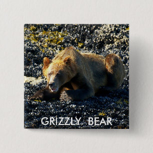 GRIZZLY BEAR ART 15 CM SQUARE BADGE
