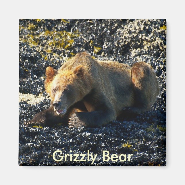 Grizzly Bear Art Magnet (Front)