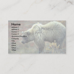 Grizzly Bear Business Card