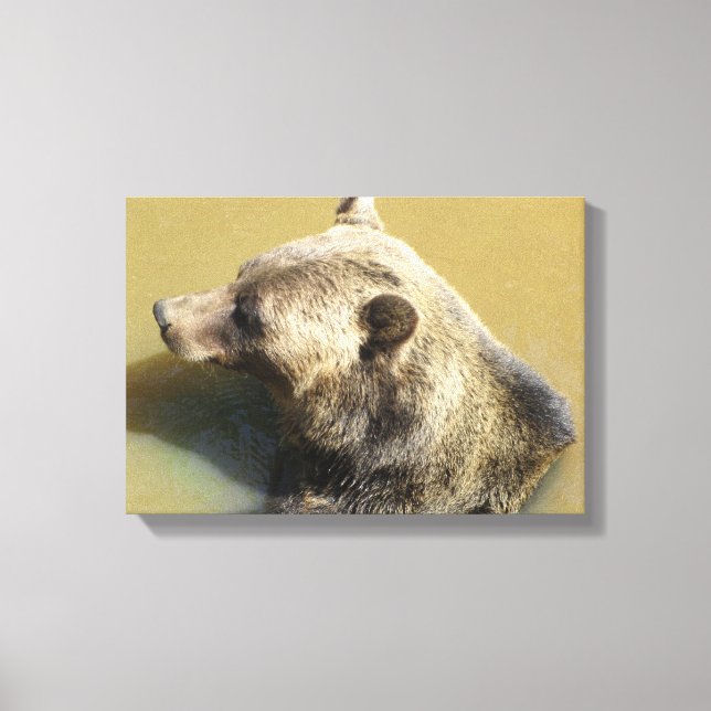 Grizzly Bear Canvas Print (Front)
