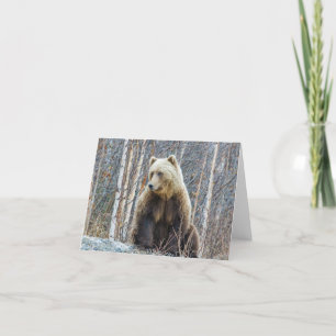Grizzly Bear Card