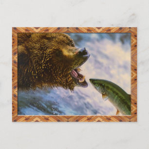 Grizzly Bear Catching Steelhead Salmon Postcard