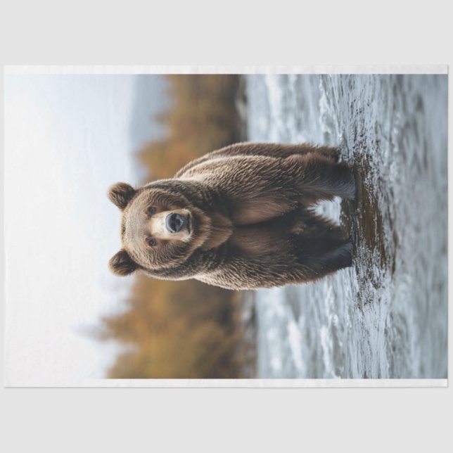 Grizzly Bear Crossing a River Decoupage Tissue Paper (Front)