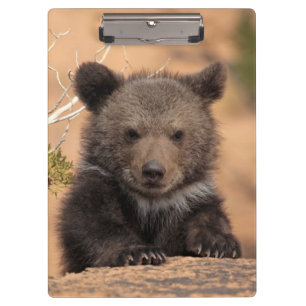Grizzly Bear Cub Clipboard